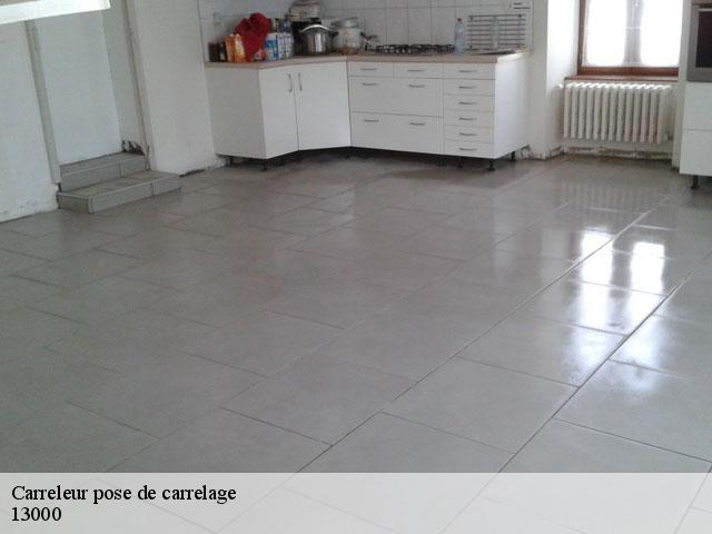 Carreleur pose de carrelage 13000